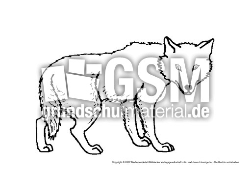 Wolf-1.pdf